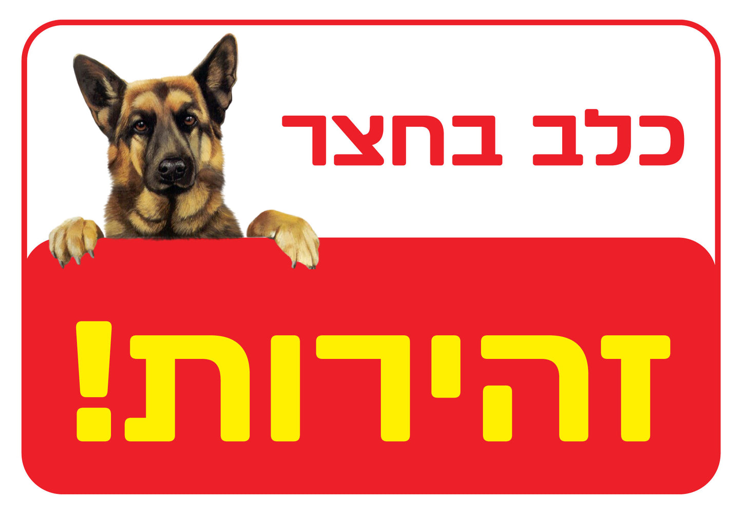 כלב בחצר 2